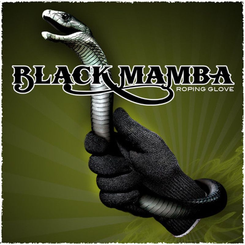 Single Black Mamba Roping Glove