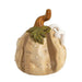 Medium Stoneware Pumpkin Sitter