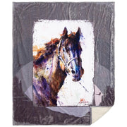 Pancho Plush Sherpa Throw