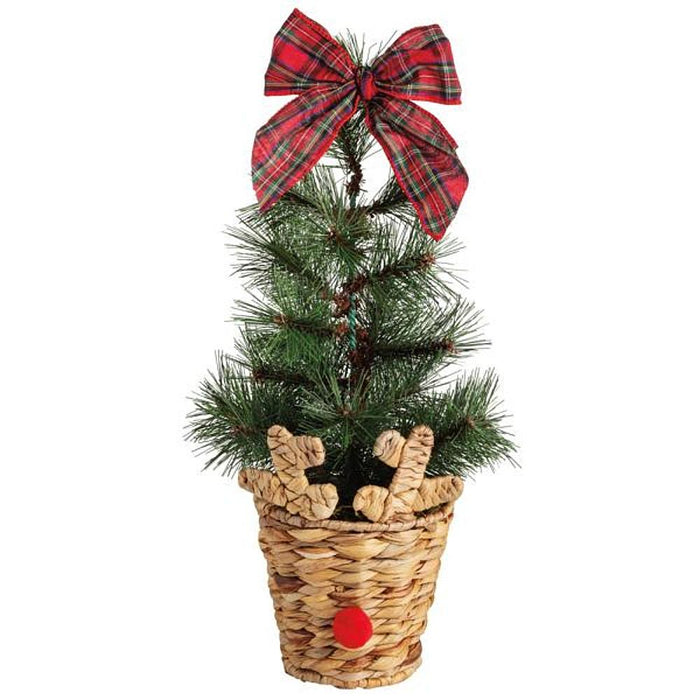 Large Reindeer Basket Fraser Fir Tree