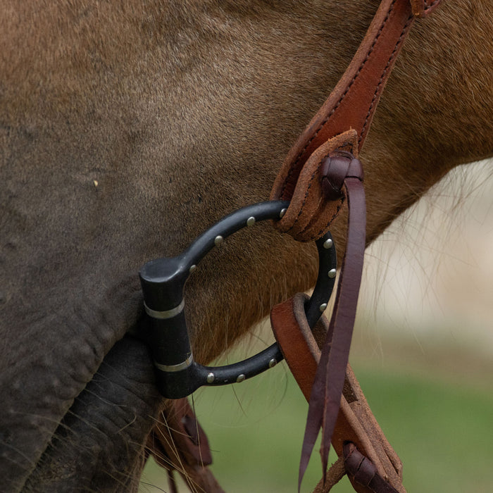 Lifesaver Dee Ring Snaffle Bit with Dots