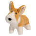 Carl Corgi Muzzle