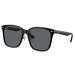 Polished Black & Dark Grey Sunglasses