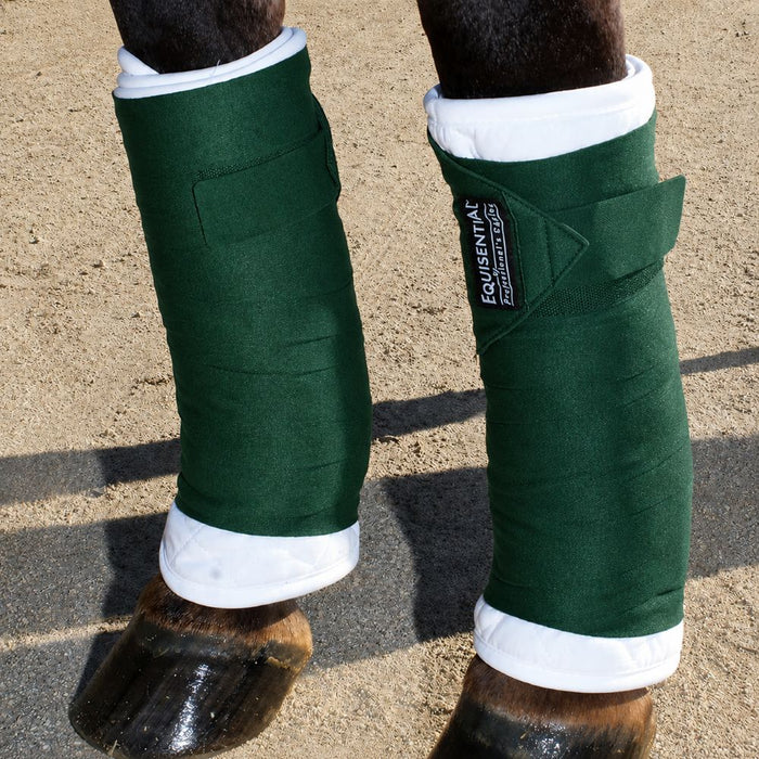 Equisential Standing Bandages