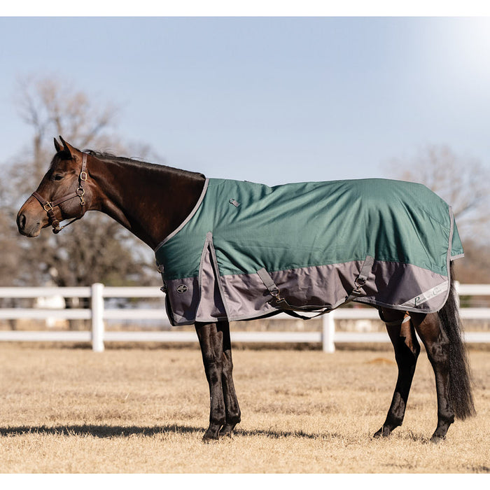 Emerald Horse 1200D 300g Winter Blanket