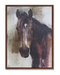 Horse Print Canvas Wall Art