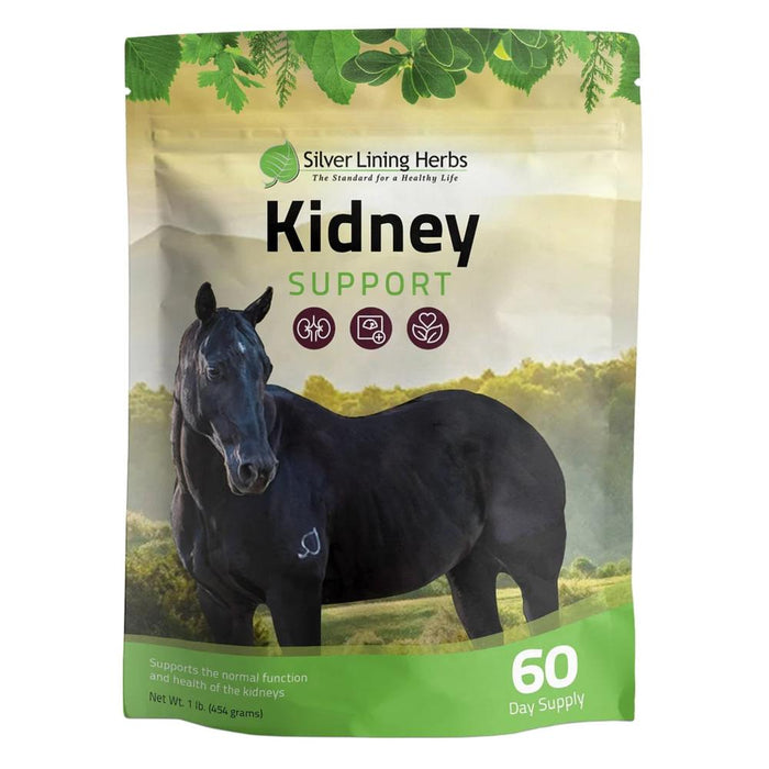 Herbs #37 Kidney Support