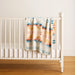 Organic Cotton Wyeth Falls Baby Blanket