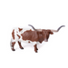 Texas Longhorn Steer Red White