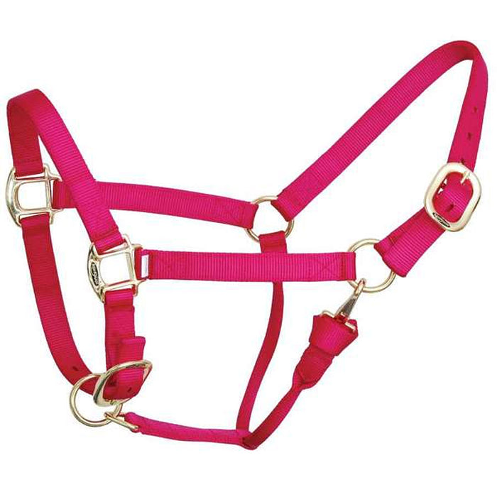 Weanling Deluxe Nylon Halter