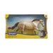 Cash Quarter Horse