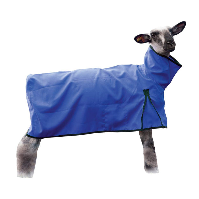 Sheep Blanket Solid Butt Extra-Large Blue