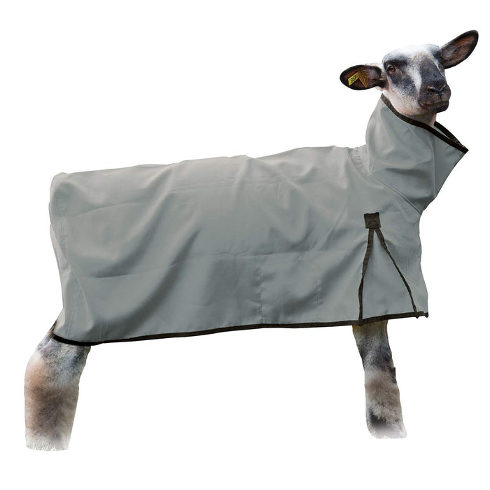 Sheep Blanket Solid Butt Extra-Large Gray