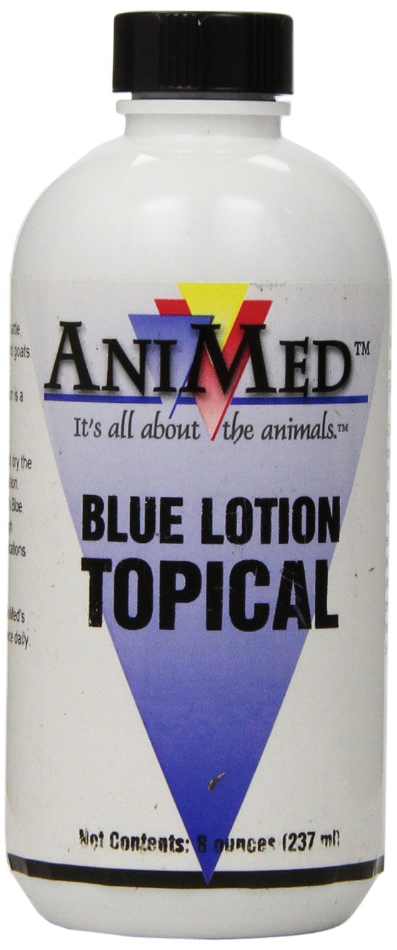 Blue Lotion Topical w/Dauber 8oz