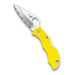 Ladybug 3 Salt Lightweight Knife with 1.93
