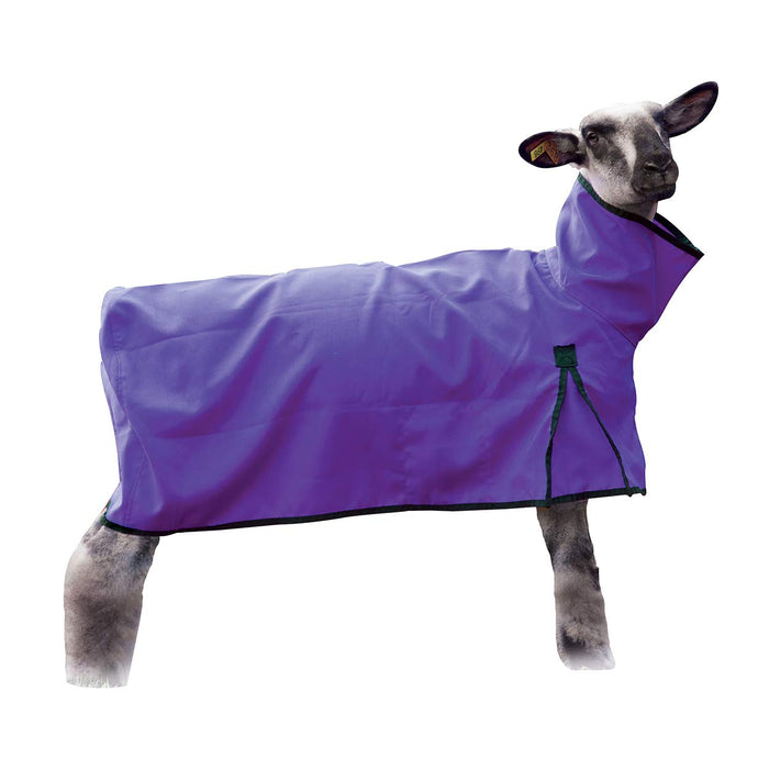 Sheep Blanket Solid Butt