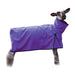 Sheep Blanket Solid Butt