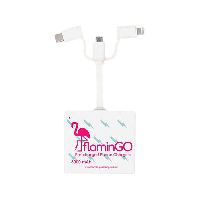 Pre Charged Phone Charger