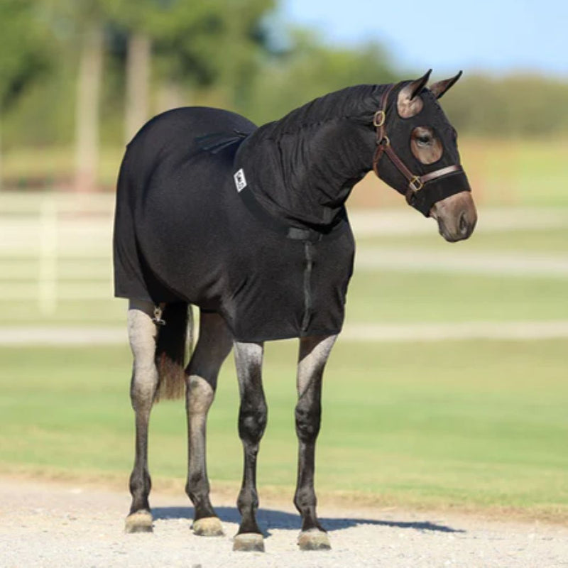 Full Body Slinky