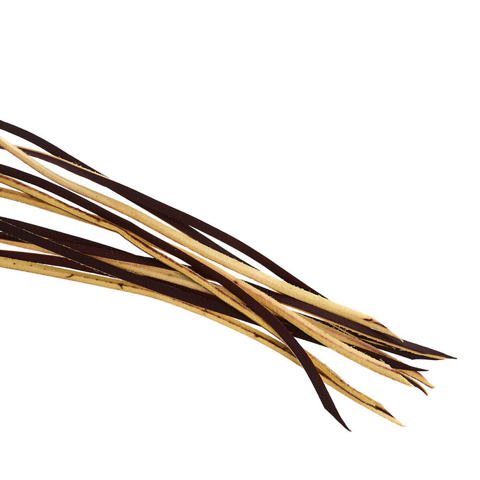 12 Pack 1/4in x 1/2in Indian Tan Tie End Replacement Strings