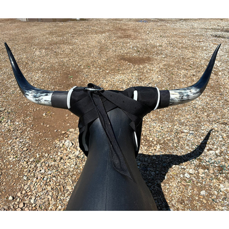 Something Dummy Real SuperHorns
