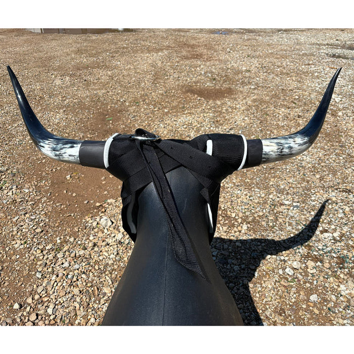 Something Dummy Real SuperHorns