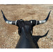 Something Dummy Real SuperHorns