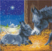 Little Donkey Crystal Art Kit