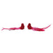 Assorted Foam/Feather/Corduroy Red Bird Ornament