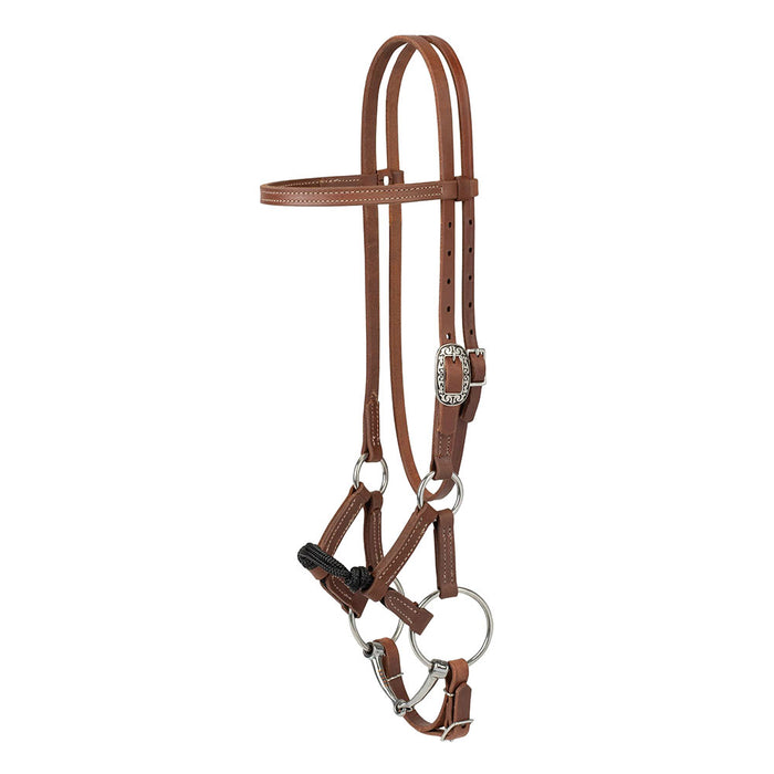 Kalley Krickeberg Horseman`s Transition Bridle