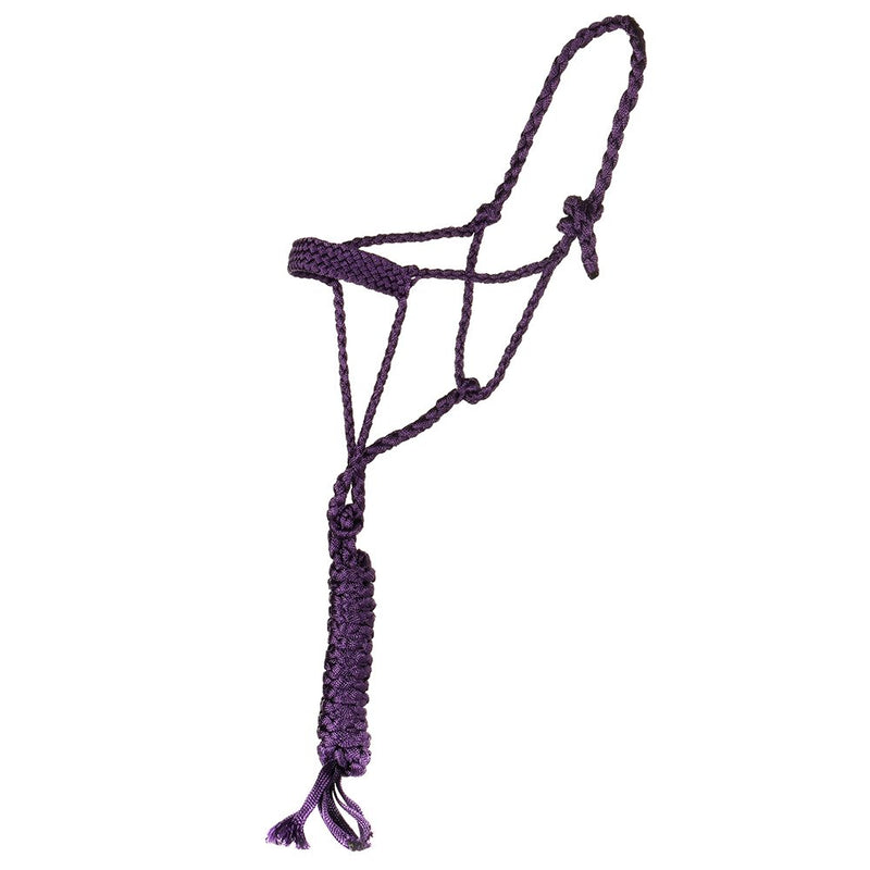 Mule Tape Halter with 10ft Lead