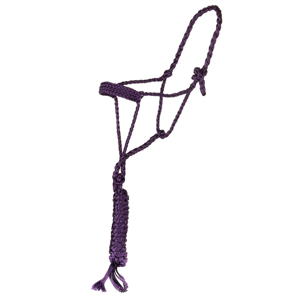Tough 1 Halters & Leads