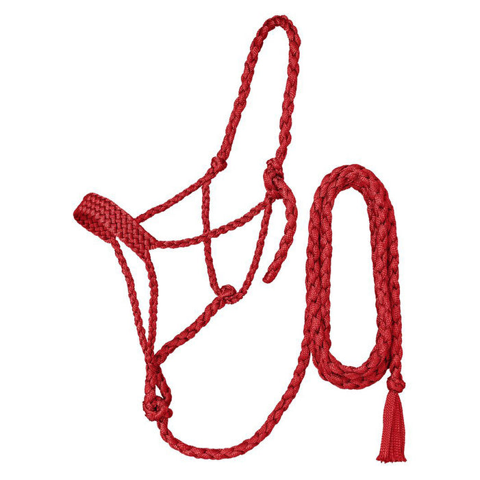 Mule Tape Halter with 10ft Lead
