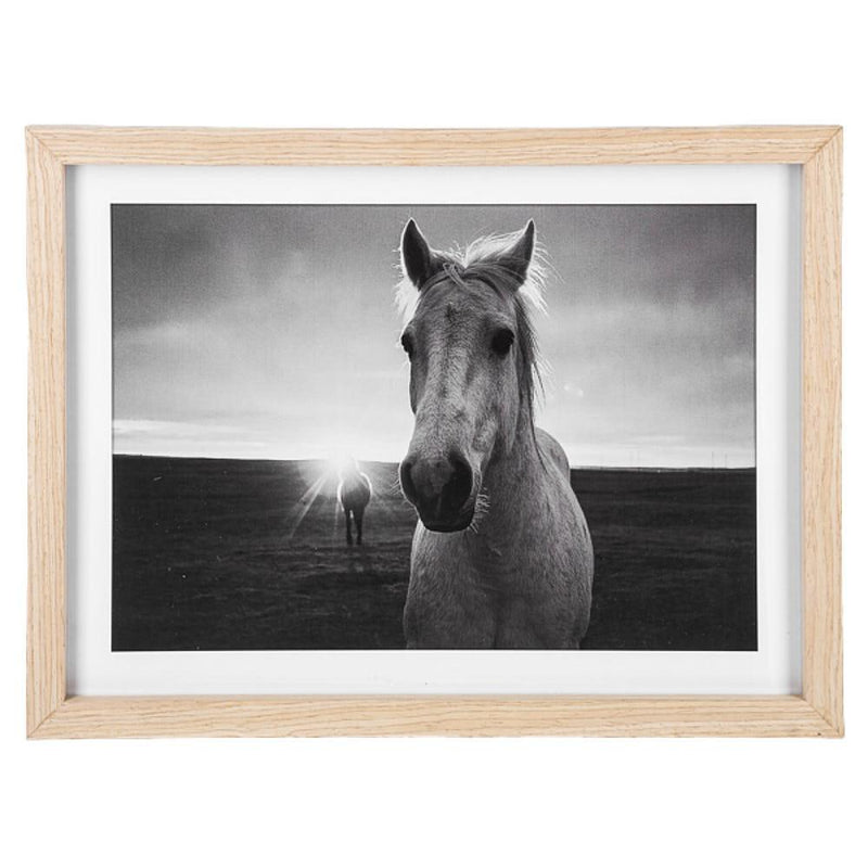 Framed Black and White Horse Photography Wall Decor -Front