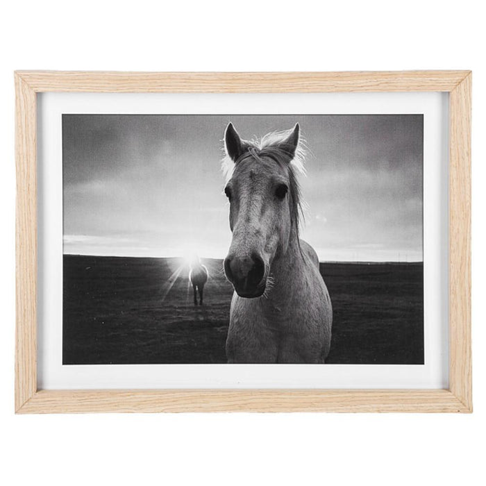 Framed Black and White Horse Photography Wall Decor -Front