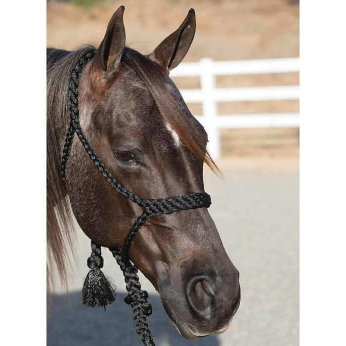 Cowboy Braided Halter with 10ft Lead