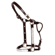 Engraved Silver Show Halter
