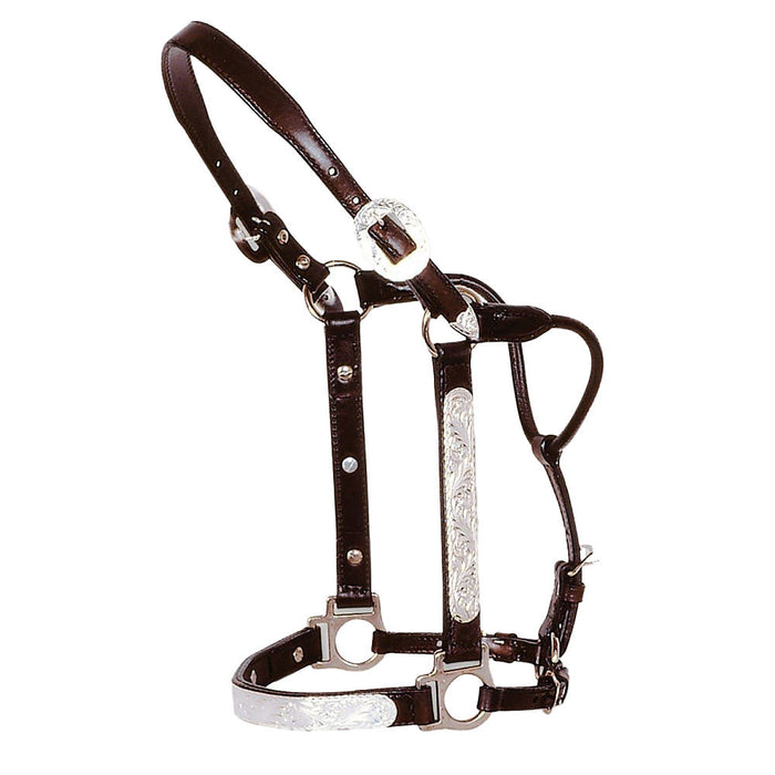 Engraved Silver Show Halter