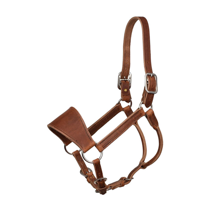 Ranch Halter