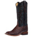 Women's Chasi Brown Caiman Vamp 13in Midnight Cowhide Top