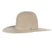 10X Silverbelly Grizzly Hat 4 1/2" Brim