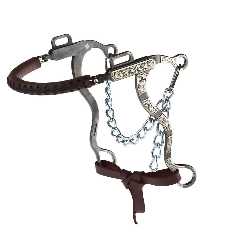 Engraved Silver Bar Short Shank Hackamore