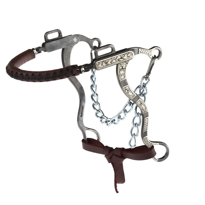 Engraved Silver Bar Short Shank Hackamore