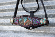 Turquoise Purple Cactus Desert Crystal Bronc Noseband Nylon Halter