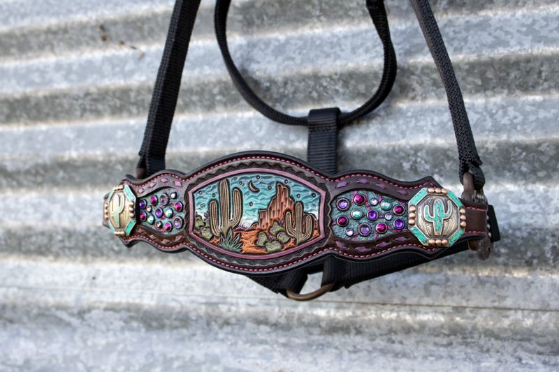 Turquoise Purple Cactus Desert Crystal Bronc Noseband Nylon Halter