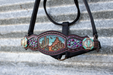Turquoise Purple Cactus Desert Crystal Bronc Noseband Nylon Halter