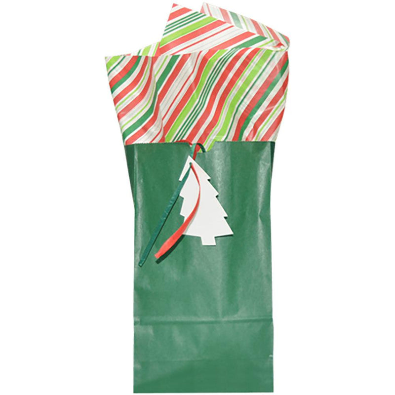 Green Gift Bag w/Multi Color Tissue Paper