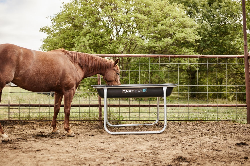 Tarter 5ft Equine Pro Bunk Feeder