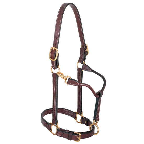 Weaver Leather 1in. Track Halter