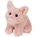 Pinkie Mini Pig